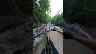 Biking down a River mountainbiking mtb [upl. by Kcirddes]