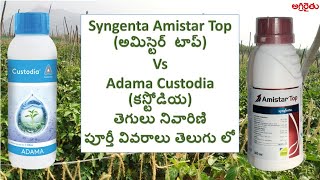 Comparison Syngenta Amistar Top అమిస్టార్ టాప్ Adama Custodia కస్టోడియా fungicides in Telugu [upl. by Naillik]