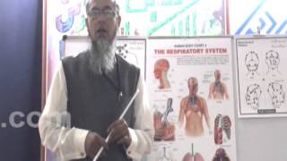 Hijama benefits Part 4 [upl. by Blanc]