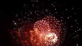 Fireworks with Sound Effects [upl. by Alyar]