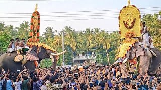 Parkkadi pooram  Thechikottukavu ramachandran Thrikkadavoor sivaraju Pambadi Rajan Ayyappan [upl. by Assener669]