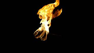 slow motion burning torch [upl. by Giorgio]