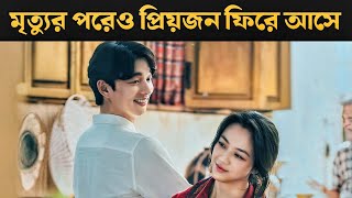 Wonderland 2024 Korean Movie Explained in Bangla  Or Goppo [upl. by Hwang]