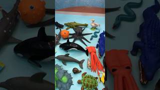 Sea toy animals playset toys hammerheadshark dolphinfish [upl. by Seaden858]