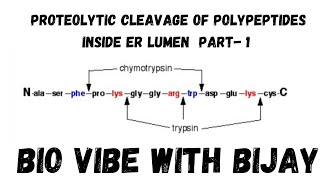 Proteolytic cleavage part 1 [upl. by Wilbert]