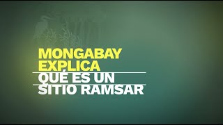 Mongabay explica ¿qué es un Sitio Ramsar [upl. by Gonzalo]