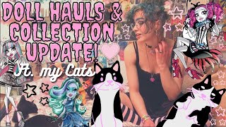 Doll Collection Update  Every Monster High Doll Haul from the past three months [upl. by Bunder]