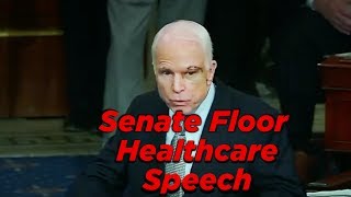 McCains Senate Floor Speech “We’re Getting Nothing Donequot Highlights [upl. by Springer]