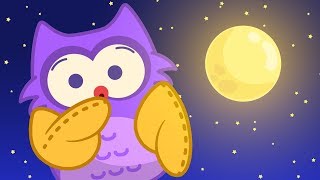 A Coruja 🦉🌛 Canções de Ninar  Música Infantil  Um Herói do Coração [upl. by Leirda]