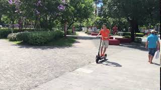 Freego ES10D Dual Motor Electric Scooter with High Speed [upl. by Naor]