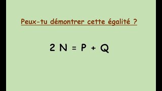 Discussions et réflexions autour dune conjecture très profonde Ne faites pas ça chez vous [upl. by Etteniuq]