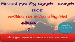 ඔයගේ සුභ ඵල දෙගුණ තෙගුණ කරන පක්ෂියා රජ කරන වේලාවන් මෙන්න  Pakshiya raja karana Welaawa  NMLIN [upl. by Feigin737]