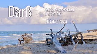 Fischland  Darß  Zingst  Der wilde Weststrand und Natur pur am Darßer Ort  einfachnurreisende [upl. by Bucky]