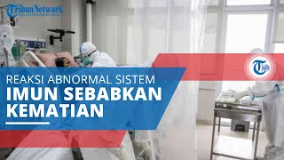 Badai Sitokin Reaksi Abnormal Sistem Imun yang Lebih Berbahaya dari Penyakit Utama yang Diderita [upl. by Ainar694]