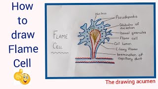 How to draw Flame Cell step by step for beginners in a very easy way [upl. by Homere443]