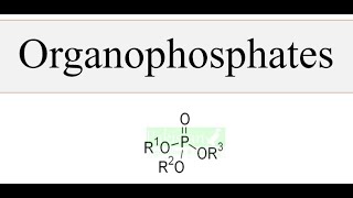 Organophosphate pesticides [upl. by Flss]