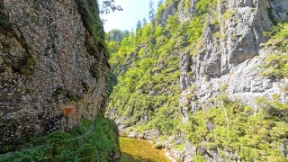 Triftsteig  Reichraminger Hintergebirge Nationalpark Kalkalpen [upl. by Roley]