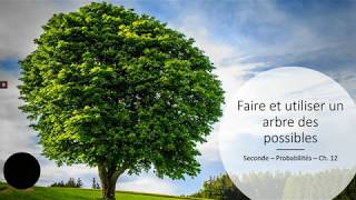 Seconde  Probabilités  Faire un arbre des possibles [upl. by Lednyk]