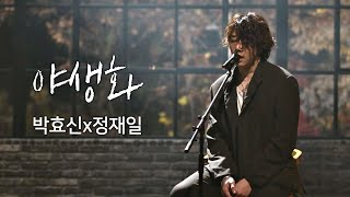 풀버전 박효신Park hyo shinx정재일Jung jae il， 한층 깊어진 감성 ′야생화′♪ 너의 노래는Your Song 1회 [upl. by Cinimod]