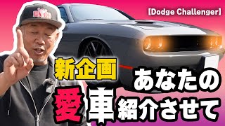 新企画【あなたの愛車を紹介させてください】記念の第一回目はダッジチャレンジャー！！ チャレンジャー アメ車 [upl. by Maryellen]