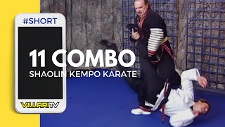 Sweep Lock and Twist the Leg  11 combo short [upl. by Torrie]