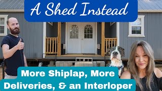 Shed to House  More Shiplap More Deliveries amp an Interloper [upl. by Rebba]