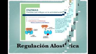 Ciclo de Krebs II Regulación [upl. by Straus]