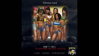 Chronic Law  Dont Fall Remix Passport Buddy Riddim [upl. by Goldfinch]