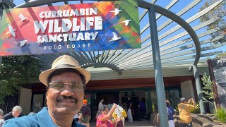 Flight bird show at Currumbin Wildlife Sanctuary Australia [upl. by Nosliw]