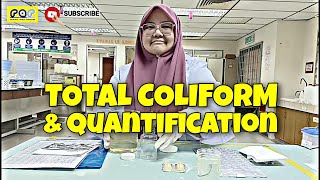 Total Coliform and Quantification  E coli detection test [upl. by O'Doneven374]