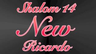 Ricardo Kwiek SHALOM 14  I Will Never let You Feel Alone [upl. by Enimsay]