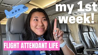 Flight Attendant Vlog MY FIRST WEEK amp I loved it ❤️ [upl. by Asenad]