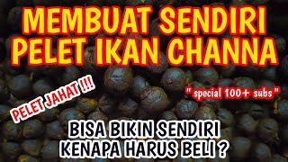 Membuat Pelet Ikan Channa [upl. by Celeste]