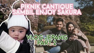 Enjoy pohon sakura di Jepang  VLOG JEPANG PART 2 [upl. by Angell]