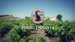 Vouni Panayia Winery [upl. by Higbee]