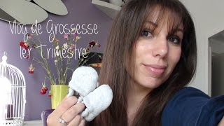 Vlog 1er Trimestre de Grossesse [upl. by Yednarb713]