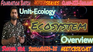 OVERVIEWClass 12 Biology Ecosystem Energy Flow Food Chains and Ecological Pyramids [upl. by Leikeze]