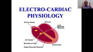 Electrophysiology Of Heart [upl. by Walters960]