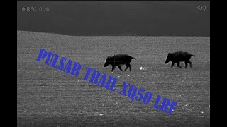 PULSAR TRAIL XQ50 LRF  sestřih z lovu  hunting compilation [upl. by Klotz29]