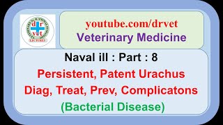 Naval ill Part 8 persistent urachus patent urachus diagnosis treatment preven complications [upl. by Corbett]