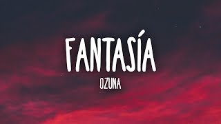 Ozuna  Fantasía LetraLyrics [upl. by Cypro]