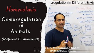 Osmoregulation in Animals  Homeostasis  12th Biology [upl. by Beulah524]