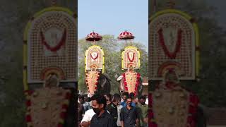 Cherai thalapokkam 💥cheraipooram pooramvibes elephantvideo [upl. by Einnad]