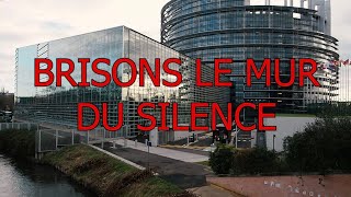 Manifestation au parlement Européen à Strasbourg [upl. by Kariotta306]