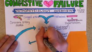 Congestive Heart Failure Pathophysiology [upl. by Nalad]