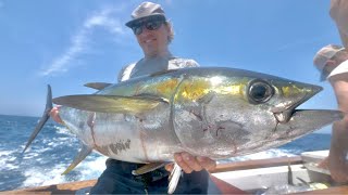 AMAZING YELLOWFIN TUNA FISHING ACTION in OUTER BANKS  AHI TUNA CATCH AND COOK [upl. by Yerhpmuh]