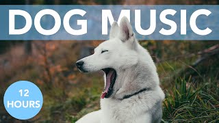 12 HOURS OF RELAXING DOG MUSIC Great for Anxiety Crate Training [upl. by Anuhsal477]