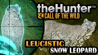 HOW CLOSE FACE TO FACE WITH A STUNNING RARE LEUCISTIC SNOW LEOPARD IN THE HUNTER CALL OF THE WILD [upl. by Cataldo]