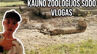 KAUNO ZOOLOGIJOS SODO VLOGAS [upl. by Garlan]