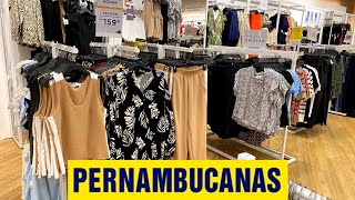 NOVIDADES PERNAMBUCANAS [upl. by Nowahs]